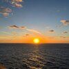 elyse_fromberg